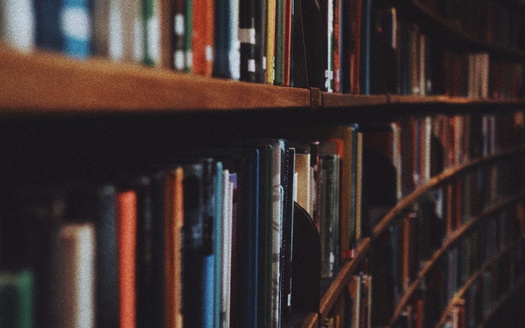 pexels-olena-bohovyk-3646105